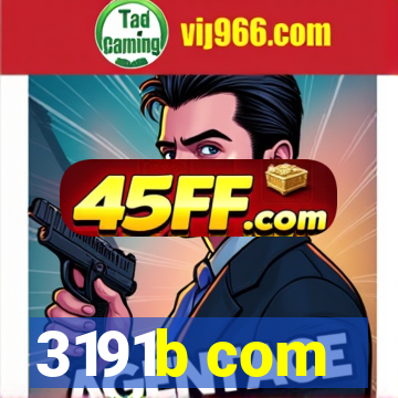 3191b com